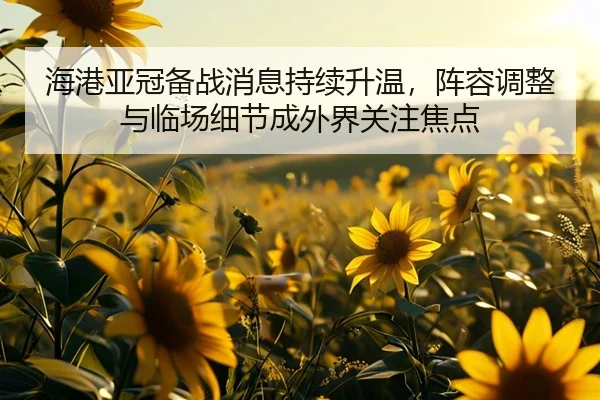 海港亚冠备战消息持续升温，阵容调整与临场细节成外界关注焦点